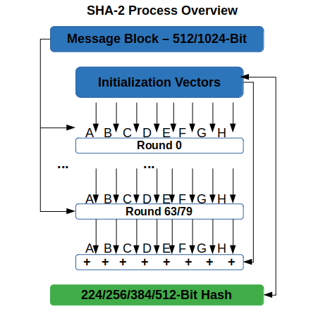 how the sha2 hashing algorithm works
