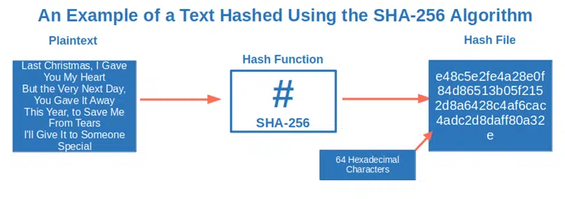 example of text hashed using sha256 algorithm