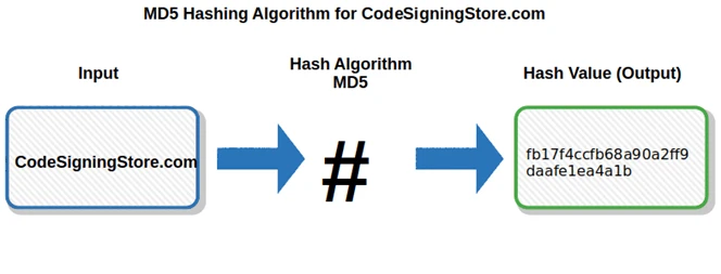 Hash Algorithm Comparison: MD5, SHA-1, SHA-2 & SHA-3