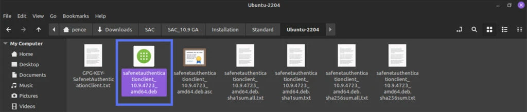 A How-To Guide for the SafeNet Authentication Client Download ...